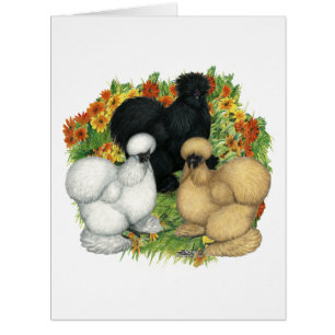 Silkies du jardin de fleurs