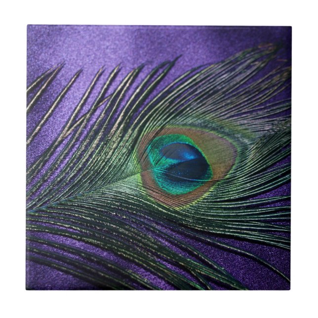 Silky Purple Peacock Feather Tile (Front)
