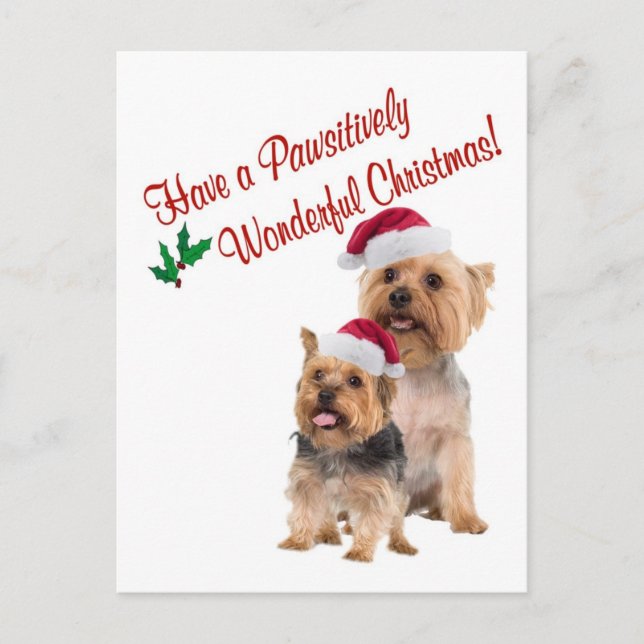 Silky Terrier Christmas Wishes Postcard (Front)