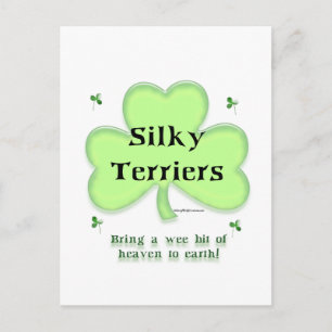 Silky Terrier Heaven, St Patrick's day Terrier Postcard