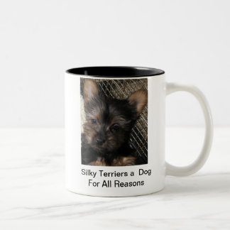 Silky Terriers a Dog For All Reasons Puppy Mug