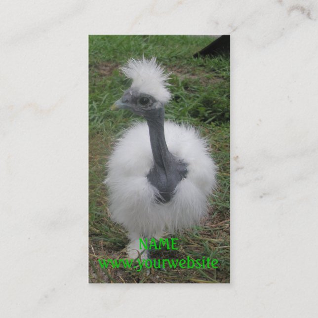 Silky Turken Girl Business Card (Front)
