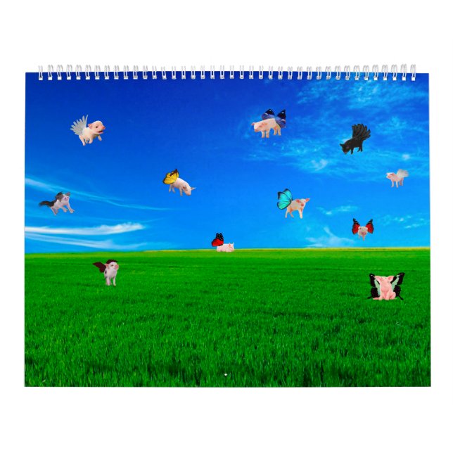 Silly Animal Pictures Calendar (Cover)