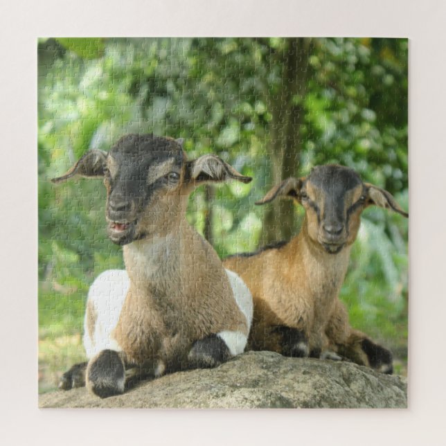 Silly Baby Goats Jigsaw Puzzle (Vertical)