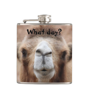 Silly Camel Photo (Customize) Hip Flask