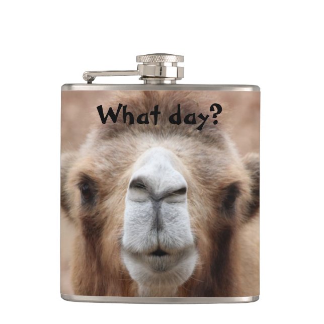 Silly Camel Photo (Customize) Hip Flask (Front)