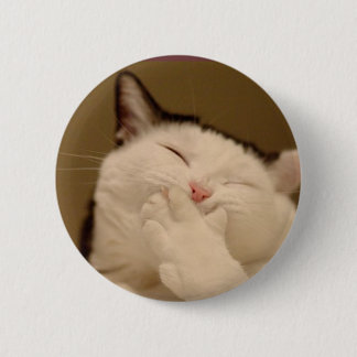 Silly Cat Buton 2 Inch Round Button