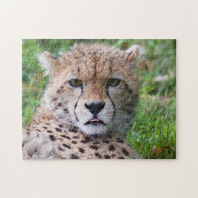 Silly Cheetah Cub Jigsaw Puzzle (Horizontal)