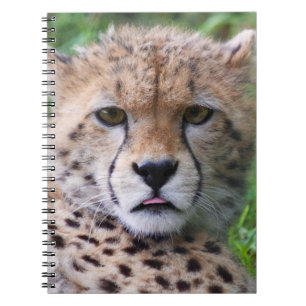 Silly Cheetah Cub Notebook