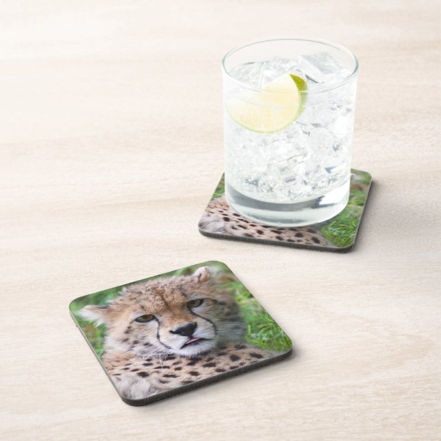 Silly Cheetah Cub Square Coaster (Right Side)