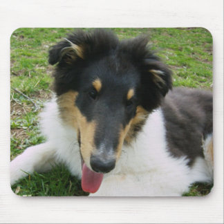 Silly Collie pup Mouse Pad