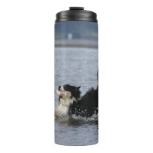 Silly dog in water, tumbler, personalize