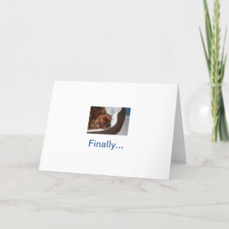 Silly Dog Retirement Card