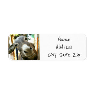 "SILLY DONKEY" RETURN ADDRESS LABELS