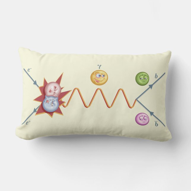 Silly Feynman Diagram Lumbar Pillow (Front)