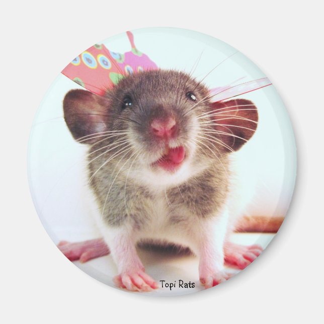 Silly Flutterby Rat Magnet (Front)