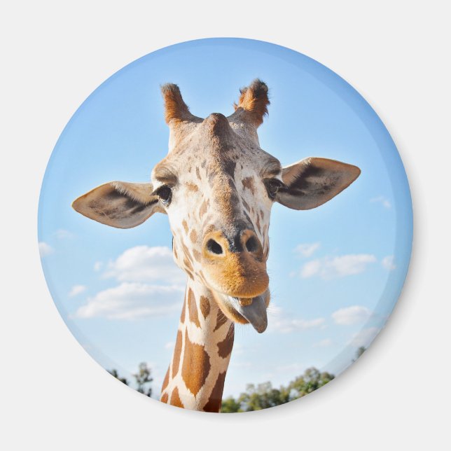 Silly Giraffe Magnet (Front)