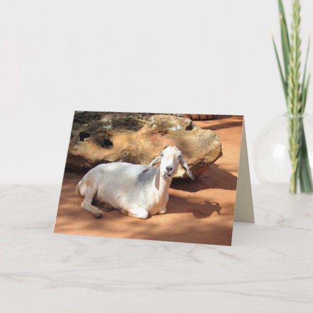 Silly Goat Card (Front)