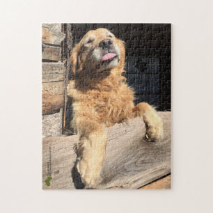 Silly Golden Retriever Photograph Jigsaw Puzzle