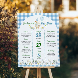 Silly Goose 1st Birthday Party Milestone Poster