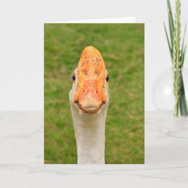 Silly Goose Birthday  Card (Front)