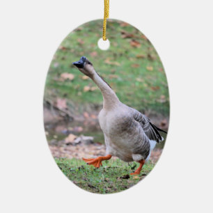 Silly goose ceramic ornament