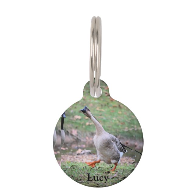 Silly Goose Pet Tag (Front)