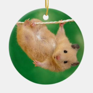 silly hampster ceramic ornament