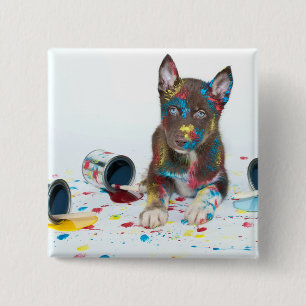 Silly Husky Puppy got into Paint Buckets 2 Inch Square Button