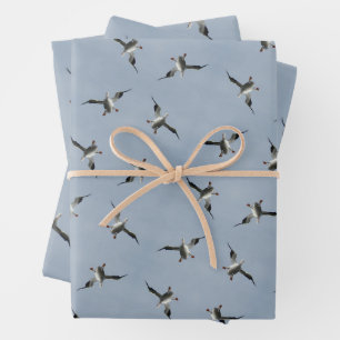 Silly Landing Pelican Pic Wrapping Paper Sheets