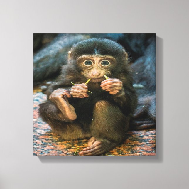 Silly Little Monkey Canvas Print (Front)