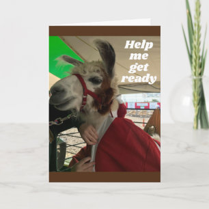 **SILLY LLAMA** DITES HEUREUSE CARTE D'ANNIVERSAIR