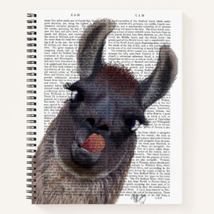 Silly Llama Notebook