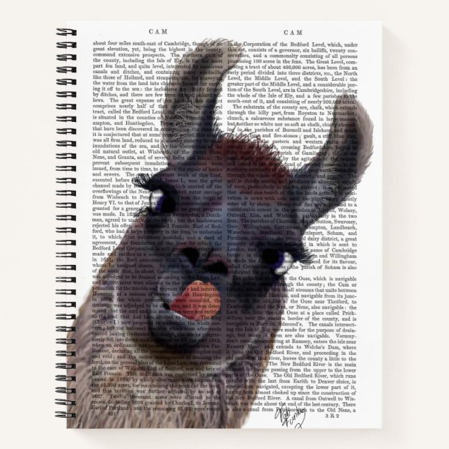 Silly Llama Notebook (Front)