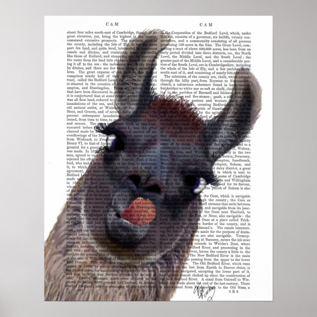 Silly Llama Poster (Front)