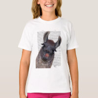 Silly Llama