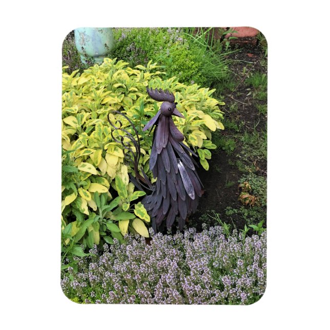 Silly Metal Rooster Magnet (Vertical)