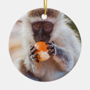 Silly Monkey with Orange Ceramic Ornament