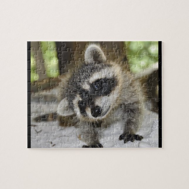 Silly Raccoon - Puzzle (Horizontal)