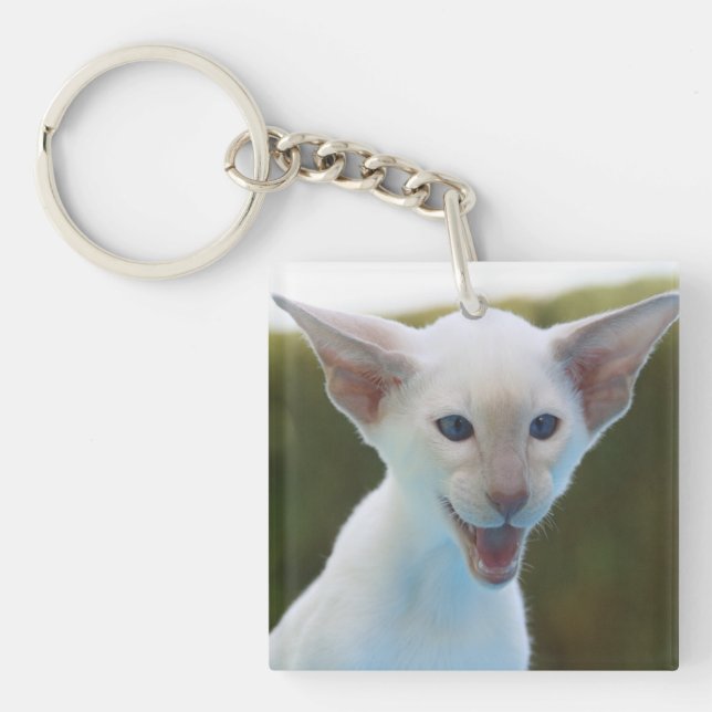 Silly Siamese Keychain (Front)