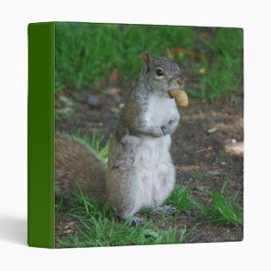 Silly Squirrel Binder