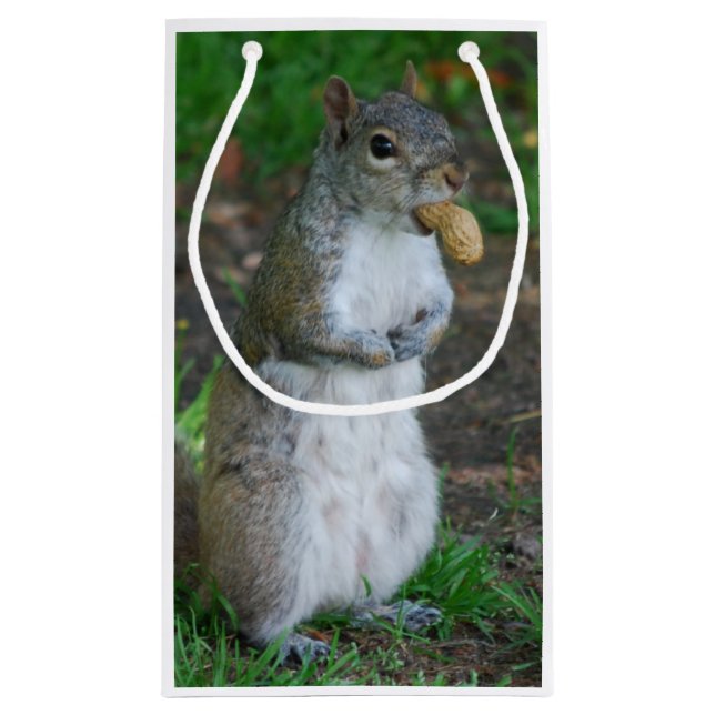 Silly Squirrel Small Gift Bag (Back)