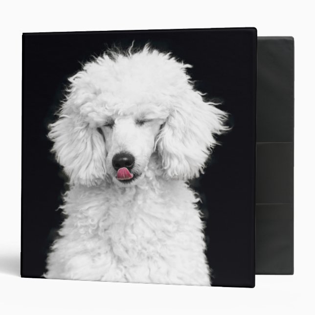 Silly White Poodle Binder (Front/Inside)