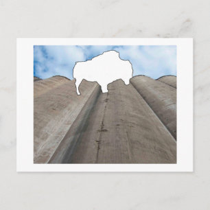 Silo and Buffalo Postcard