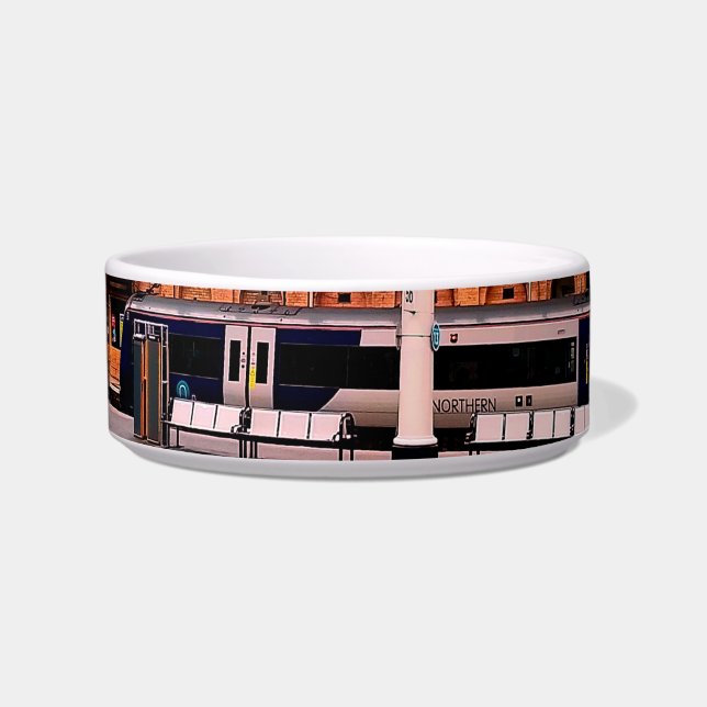 Silver and blue train bowl (Front)