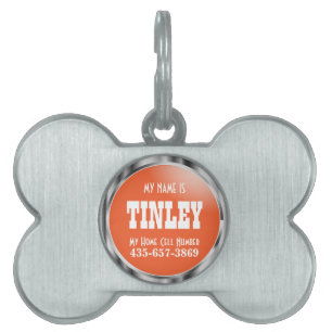 Silver and Orange DIY Name Pet Tag