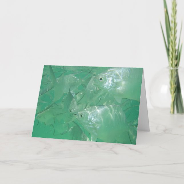 Silver Angel Fish note card, blank inside Card (Front)
