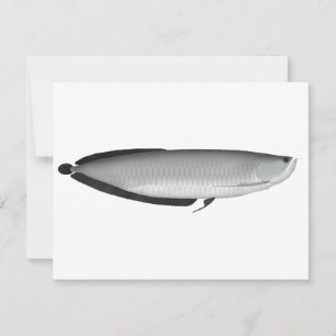 Silver Arowana Card