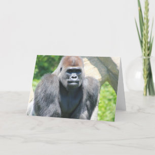 Silver Back Gorilla Card