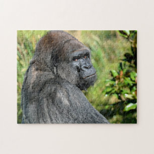 Silver Back Gorilla Jigsaw Puzzle